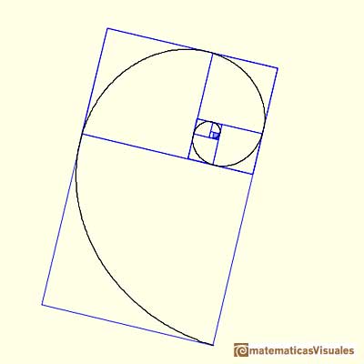 Golden Ratio: Durer's Spiral, golden spiral, vertices belong to a equiangular spiral | matematicasVisuales