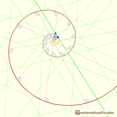 Equiangular spiral: We can see that the angle formed by the radius vector and the tangent is constant | matematicasVisuales