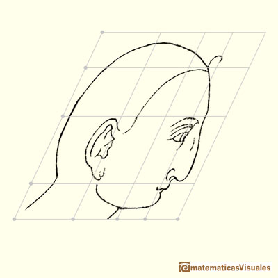 Durer's transforamtions of faces | matematicasvisuales 