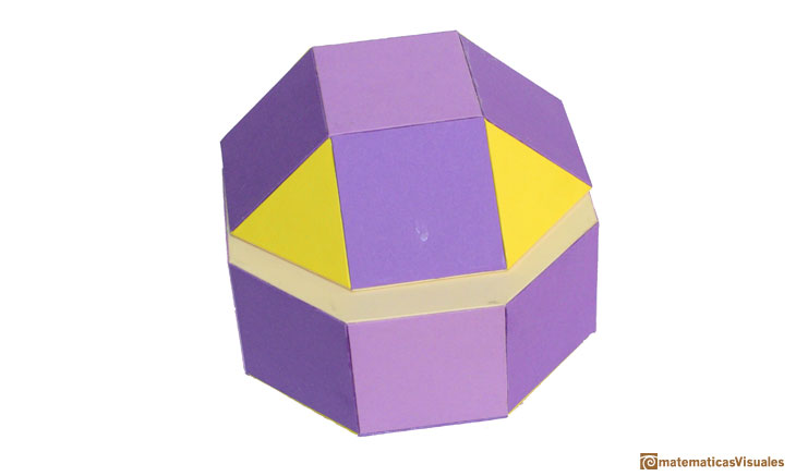 Rhombicuboctahedron or Elongated Square gyro bicupola, cardboard model | matematicasVisuales