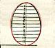 Alberto Durero y las elipses: las elipses tienen dos ejes de simetra.
