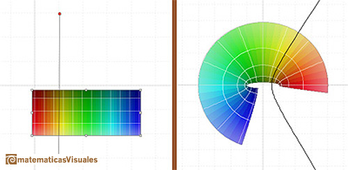 Complex Cosine Function |hyperbola | matematicasvisuales