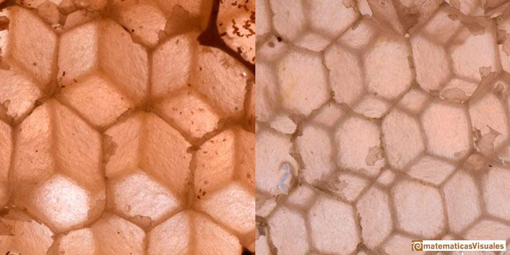 Rhombic Dodecahedron (2): honeycomb minima property |matematicasVisuales