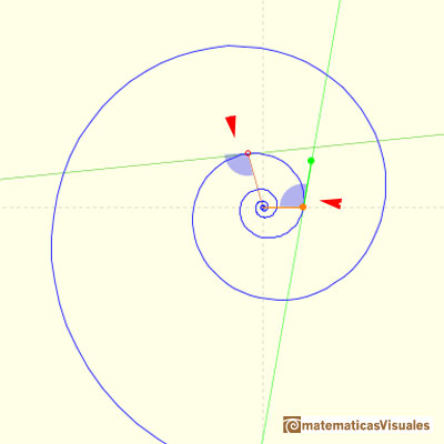 Equiangular spiral: We can see that the angle formed by the radius vector and the tangent is constant | matematicasVisuales